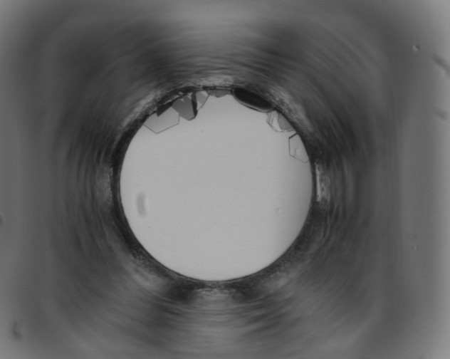 X0000096960300200803071057