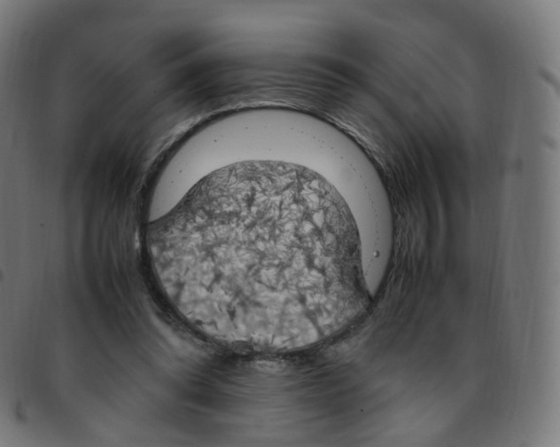 X0000096960302200803071057