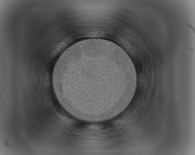 X0000096960303200803071057