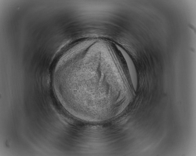 X0000096960304200803071057