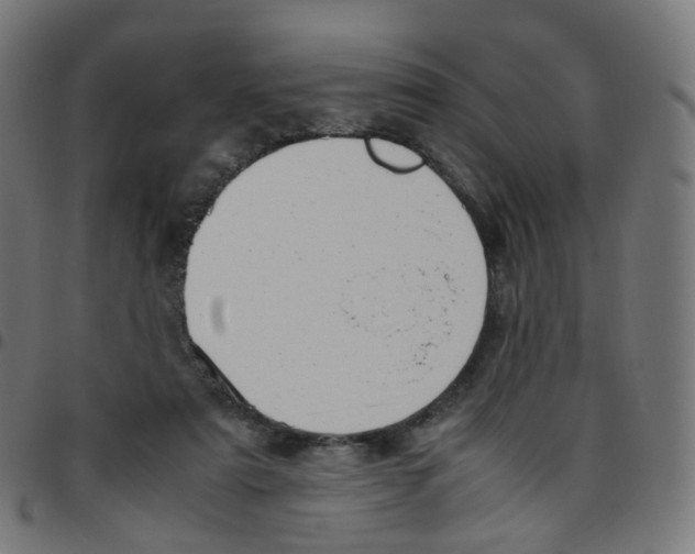 X0000096960307200803071057