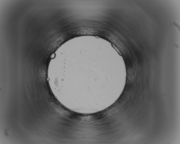 X0000096960309200803071057