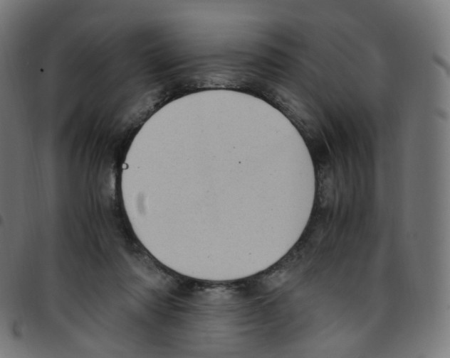 X0000096960310200803071057