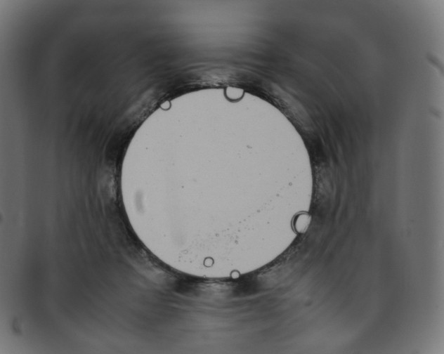 X0000096960313200803071057