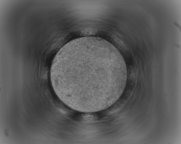 X0000096960315200803071057