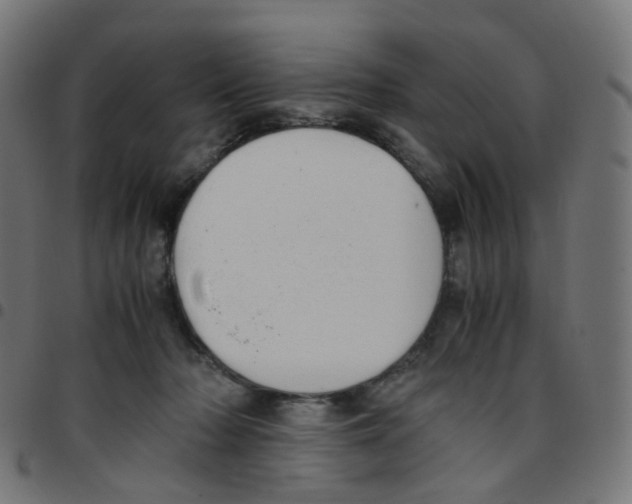 X0000096960318200803071057