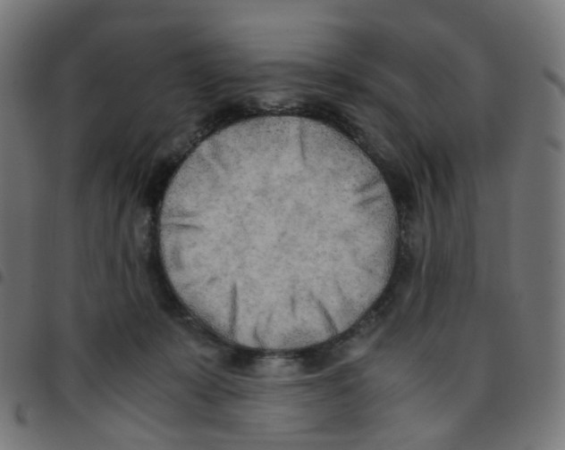 X0000096960319200803071057