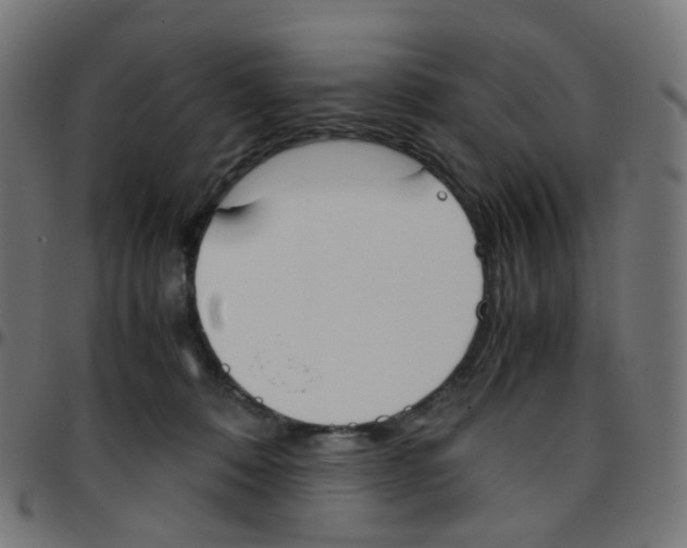 X0000096960320200803071057