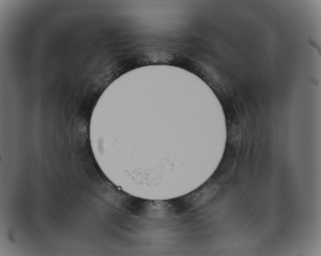 X0000096960321200803071057