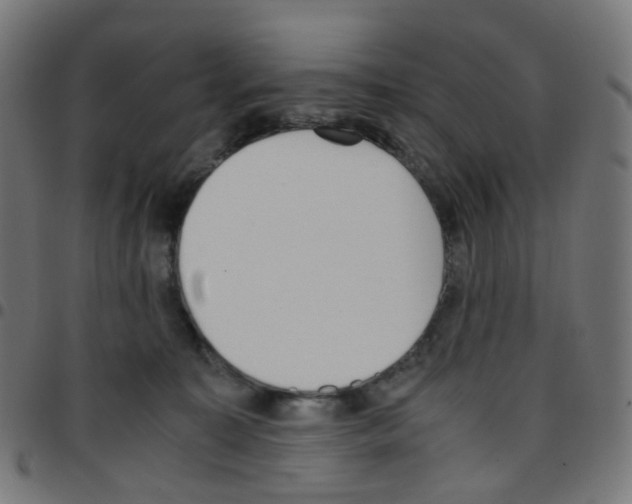 X0000096960323200803071057