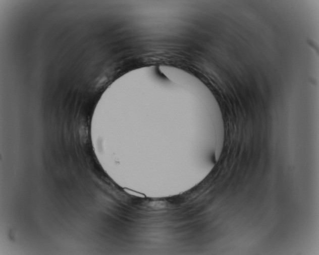 X0000096960324200803071057