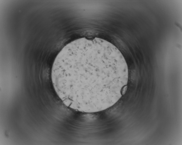 X0000096960326200803071057