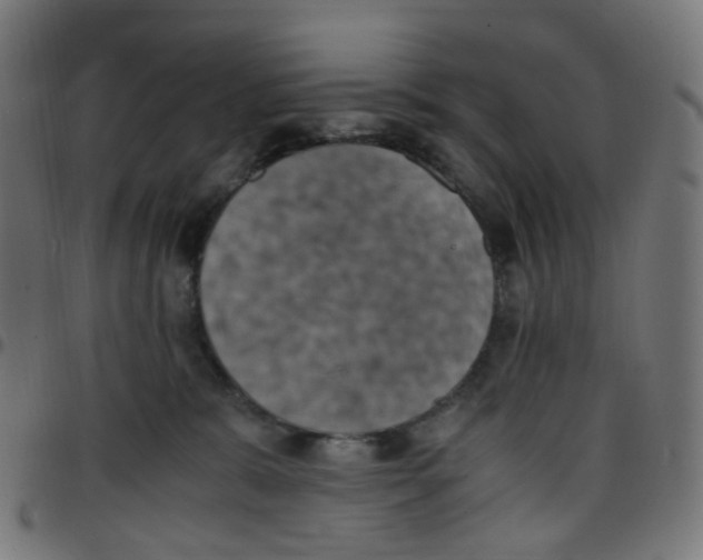 X0000096960327200803071057