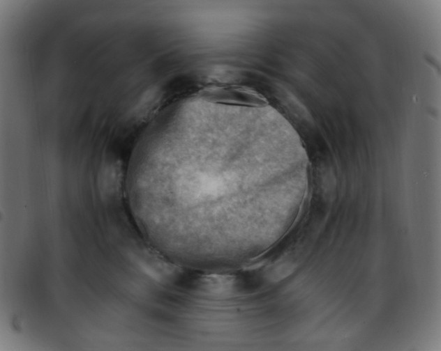 X0000096960328200803071057