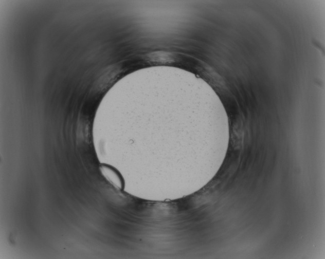 X0000096960330200803071057