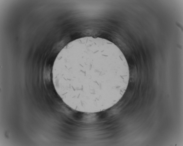 X0000096960334200803071056