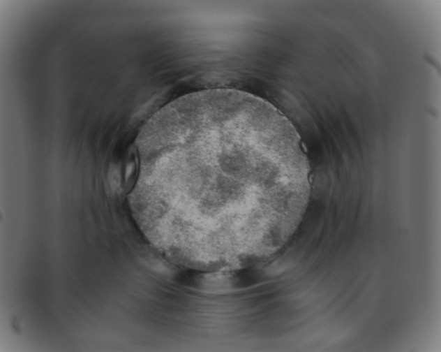 X0000096960335200803071056