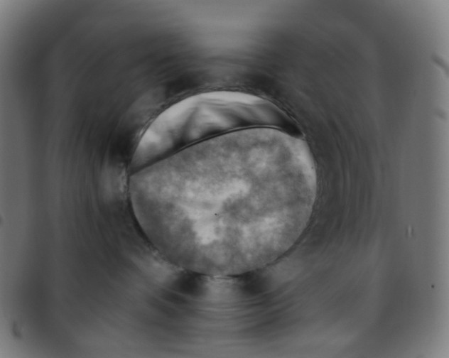 X0000096960336200803071056