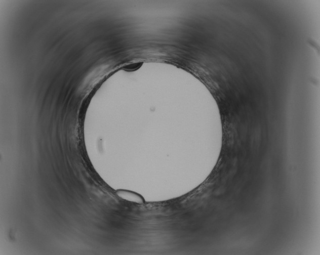 X0000096960338200803071056