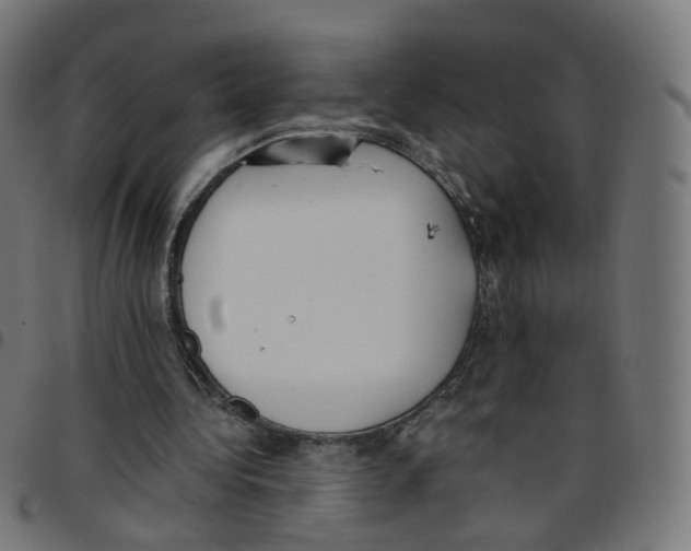 X0000096960340200803071056