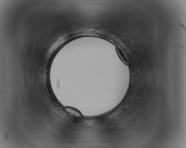 X0000096960344200803071056