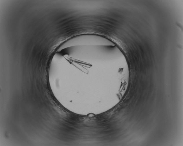 X0000096960345200803071056