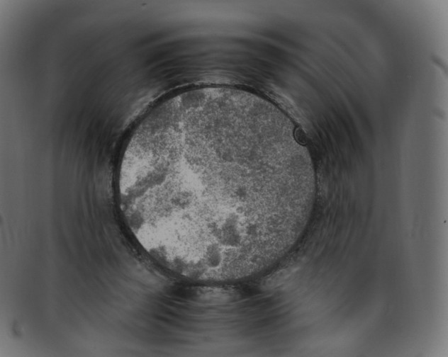 X0000096960347200803071056