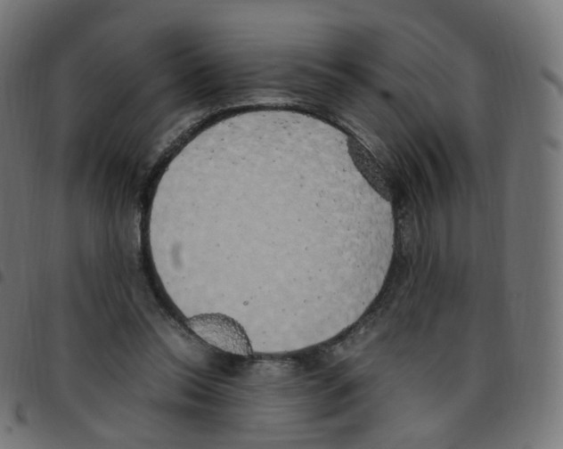 X0000096960350200803071056