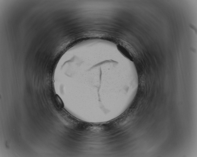 X0000096960352200803071056