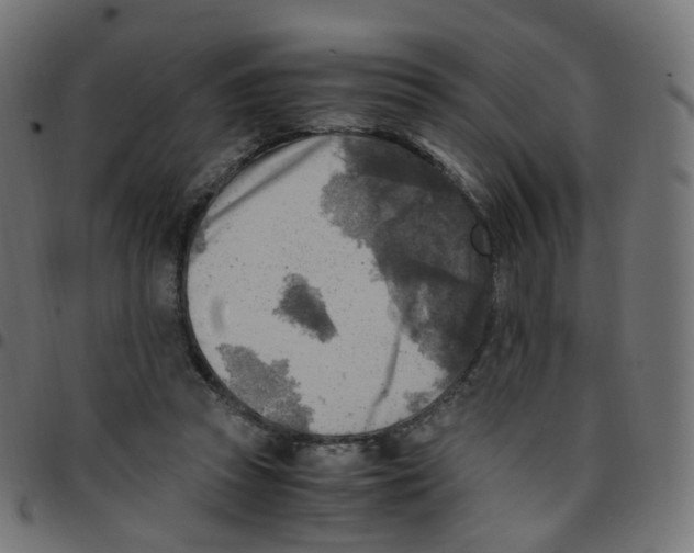 X0000096960353200803071056