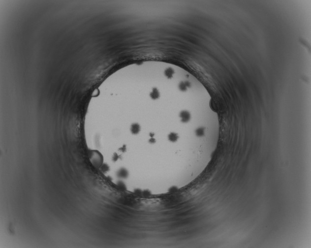 X0000096960355200803071056