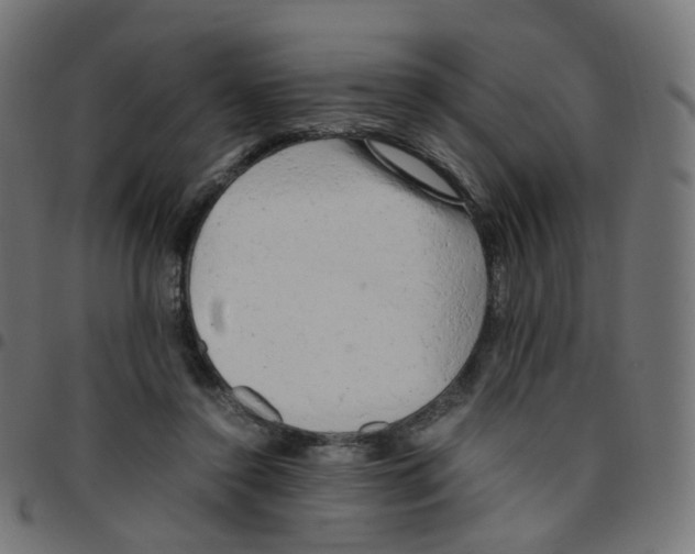 X0000096960356200803071056