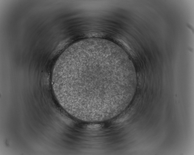 X0000096960357200803071056