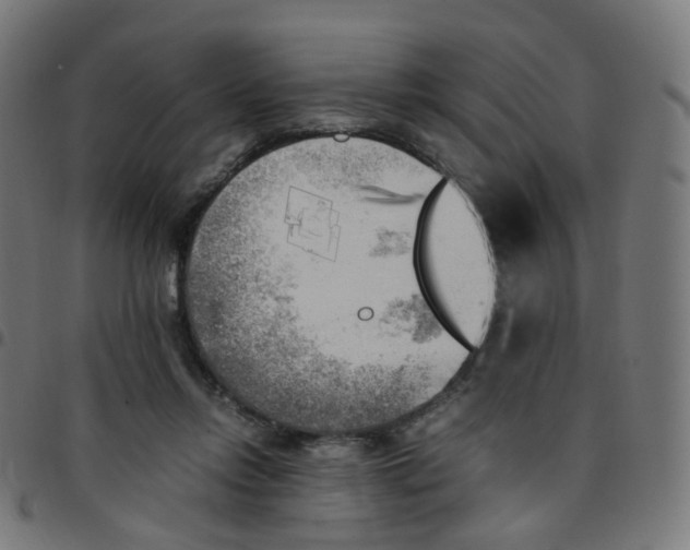 X0000096960358200803071056