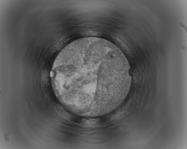 X0000096960359200803071056