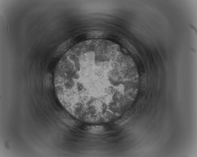 X0000096960361200803071056