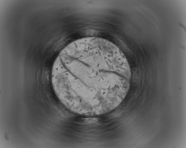 X0000096960363200803071056