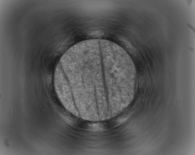 X0000096960365200803071056