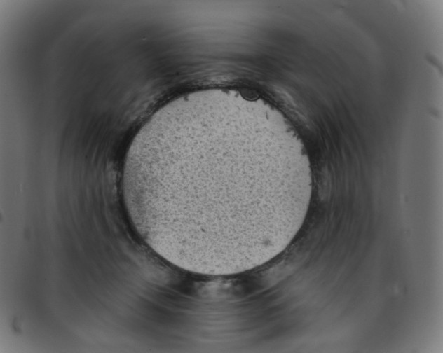 X0000096960366200803071056