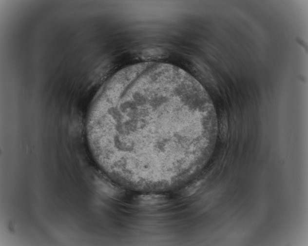 X0000096960367200803071056