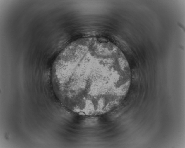 X0000096960369200803071056