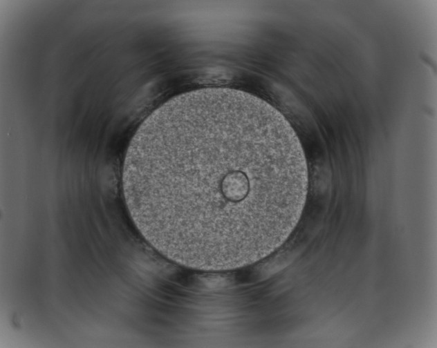 X0000096960370200803071056