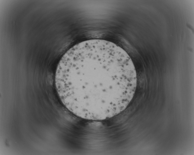 X0000096960374200803071056