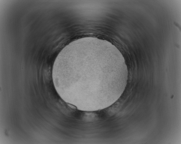 X0000096960376200803071056