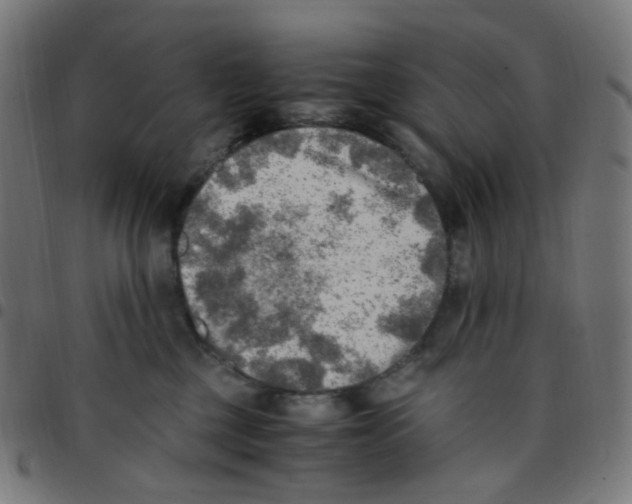 X0000096960377200803071056