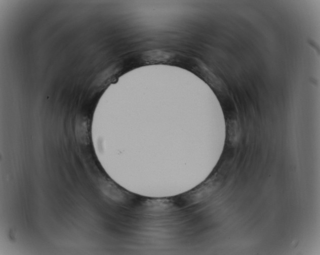 X0000096960378200803071056