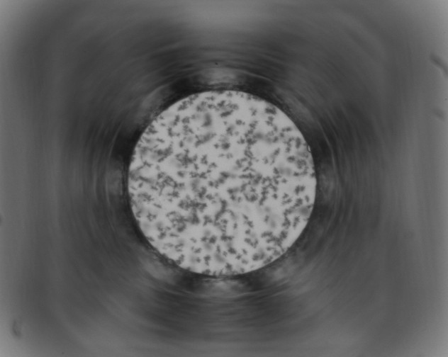 X0000096960379200803071056