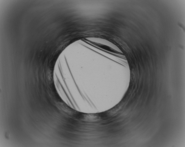 X0000096960380200803071056