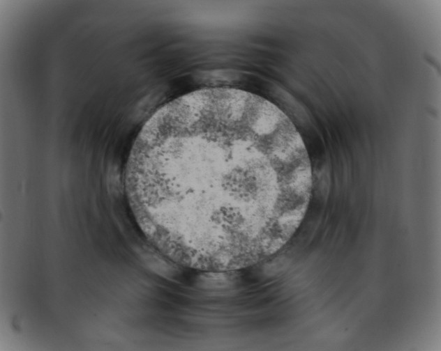 X0000096960381200803071056