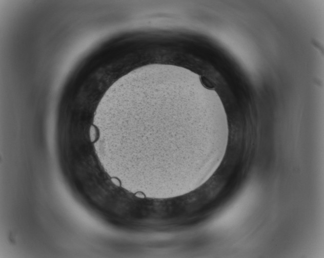 X0000096960383200803071056